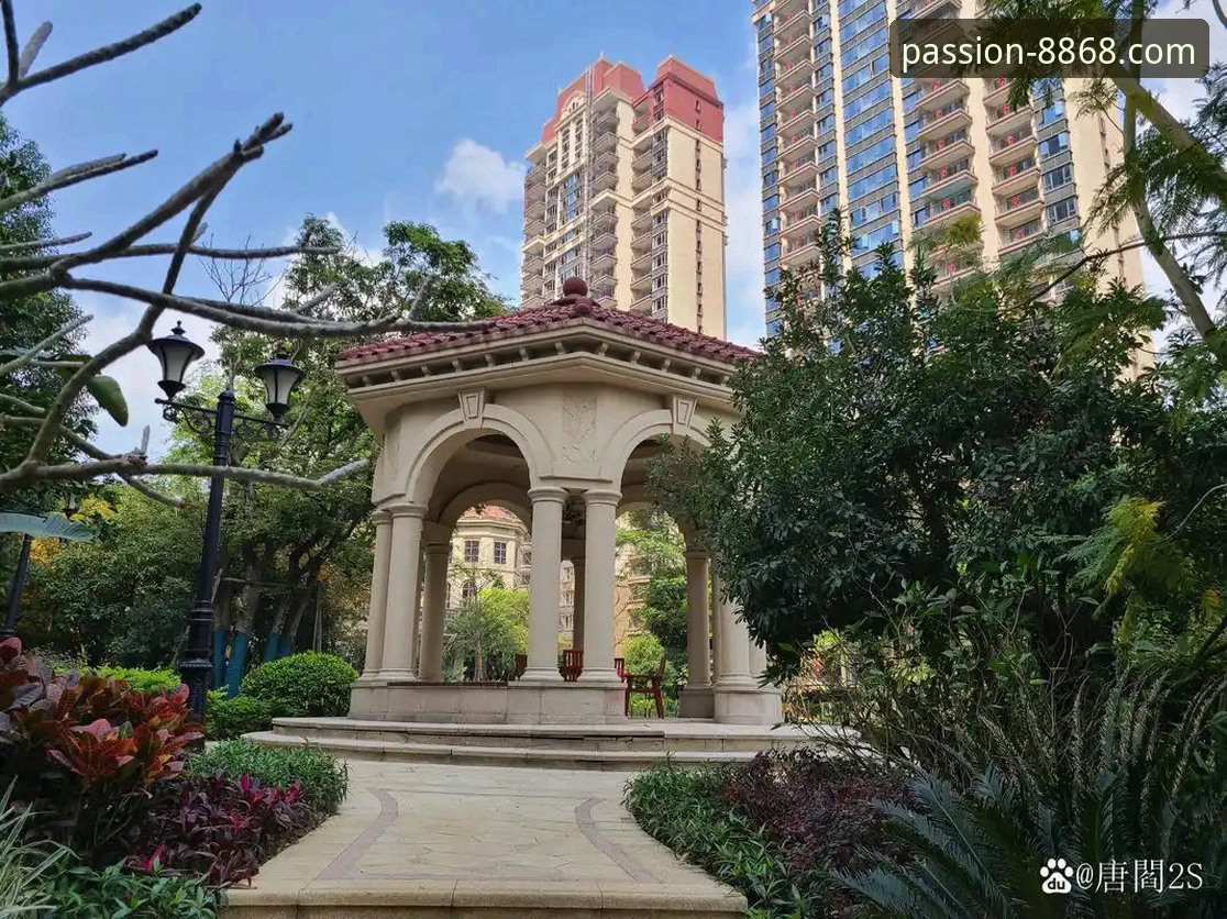 在8868体育平台深度复盘恒大足球兴衰：一场商业与体育的沉浸式分析教程